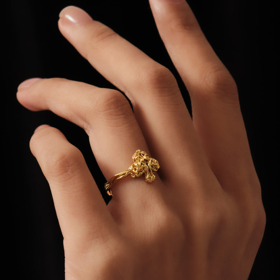 Mysterious Club Ring · 18K Gold Vermeil